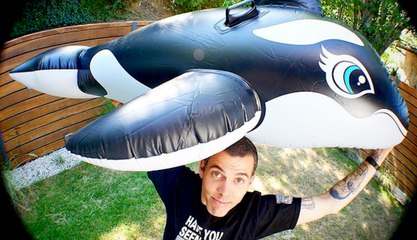 Steve-O's Big Hollywood SeaWorld Protest | What's Trending Now