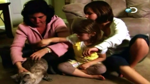 Quem disse que Gato não tem 7 Vidas?