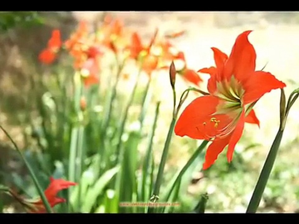 Aye Khuda Meri Masihi Geet