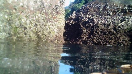 Rumo ao  Arquipélago de Marcellus, Ubatuba, SP, Brasil