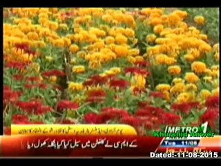 DMC Central Metro One Baldiyati Khabren ( Flower Show Making )  11-08-2015.