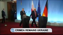 'World Will Never Recognize Russian Crimea': German FM Steinmeier rebukes German politician