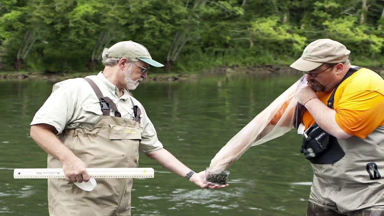 Eastman and the South Fork Holston River | Eastman Chemical Co
