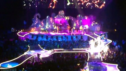 Lady Gaga- Swine Live