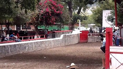 RANCHOLAROSA. ESTATAL SUR 2015 HERRADURA DE TAMPICO