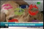 Tacop Asociación de Terapia Asistida con Perros Entrevista 360 TV