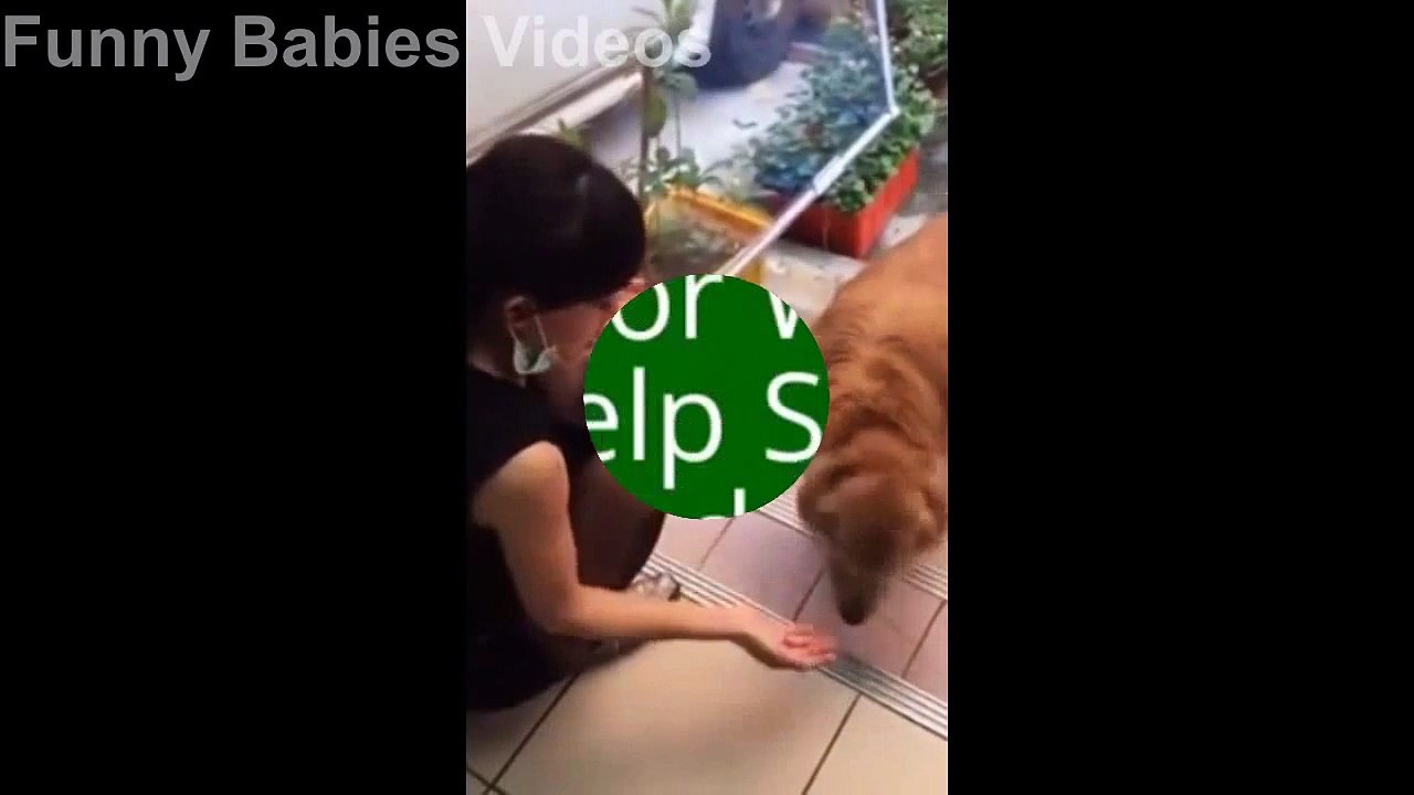 Funny Videos Of Babies Dancing Gangnam Style | Baby Gangnam Style | August 2015 Pocola