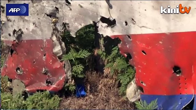 OSCE finds 'puncture marks' on MH17 fuselage