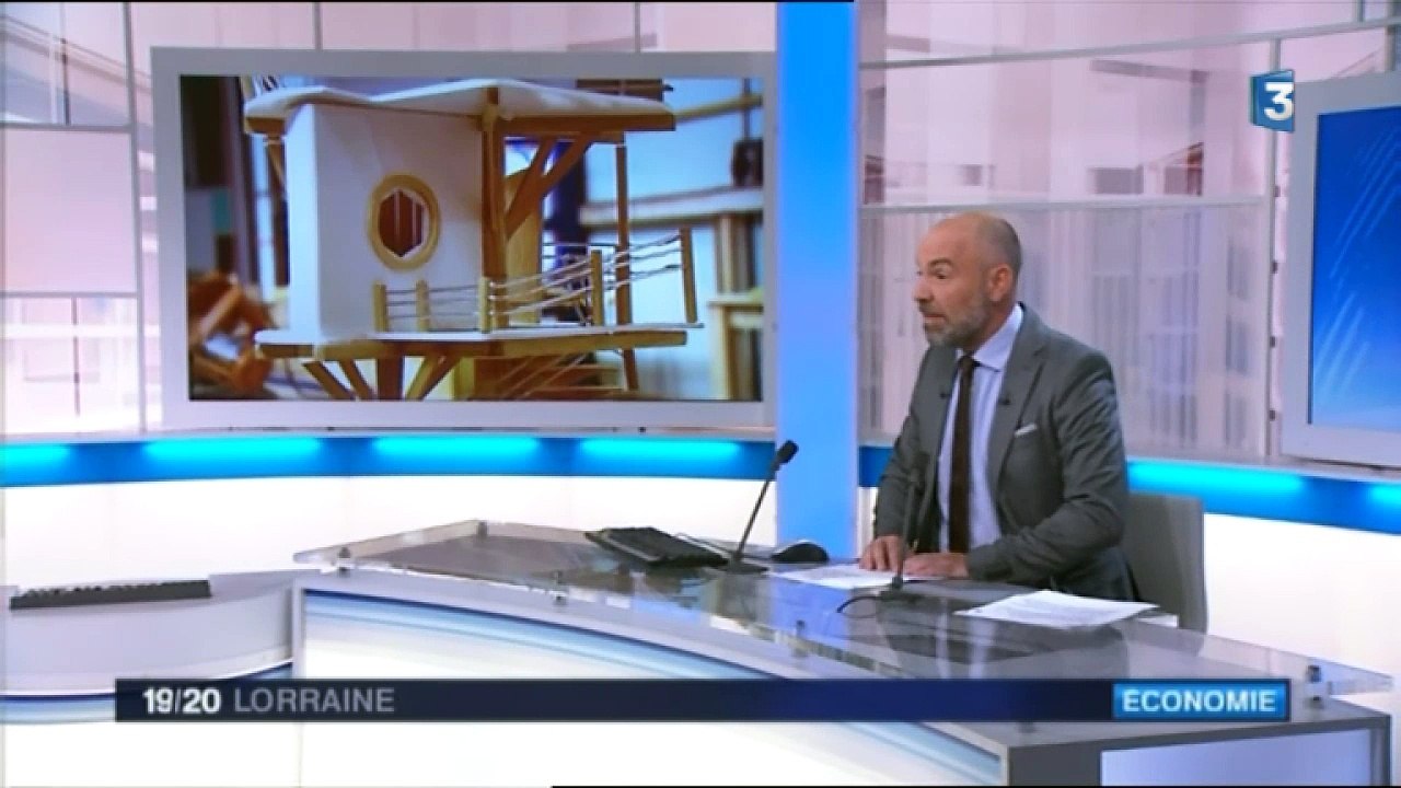 Construction de maisons perchées dans les arbres
