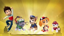 Paw Patrol Family Finger Rhymes Song | Finger Family Songs Paw Patrol Finger Nursery Rhymes