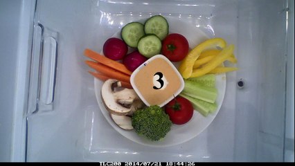 Food Rotting Time Lapse Vegetable - Foul Version