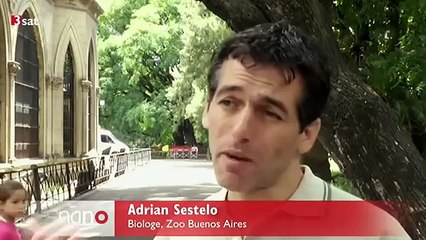 Free Sandra 3SAT nano