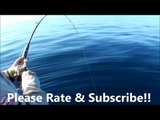 Easy Coral Trout fishing rig!! Fishing Tips!!