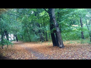 "Falling leaves" - "Fallende Blätter" Piano Composition