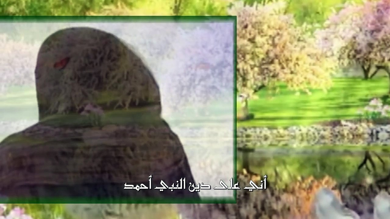 ( أنا الذي سمتني أمي حيدرة )