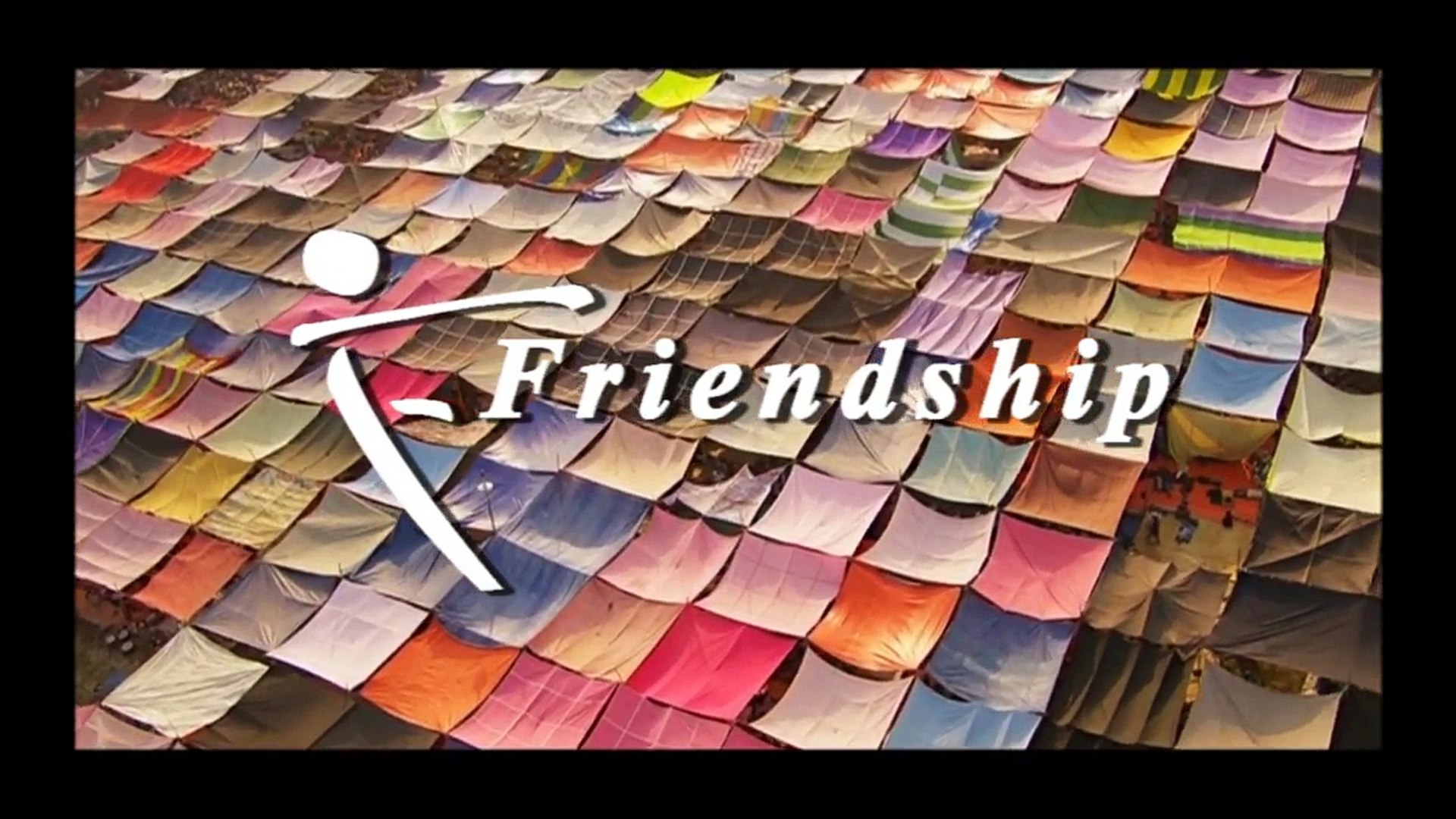⁣Friendship Overview