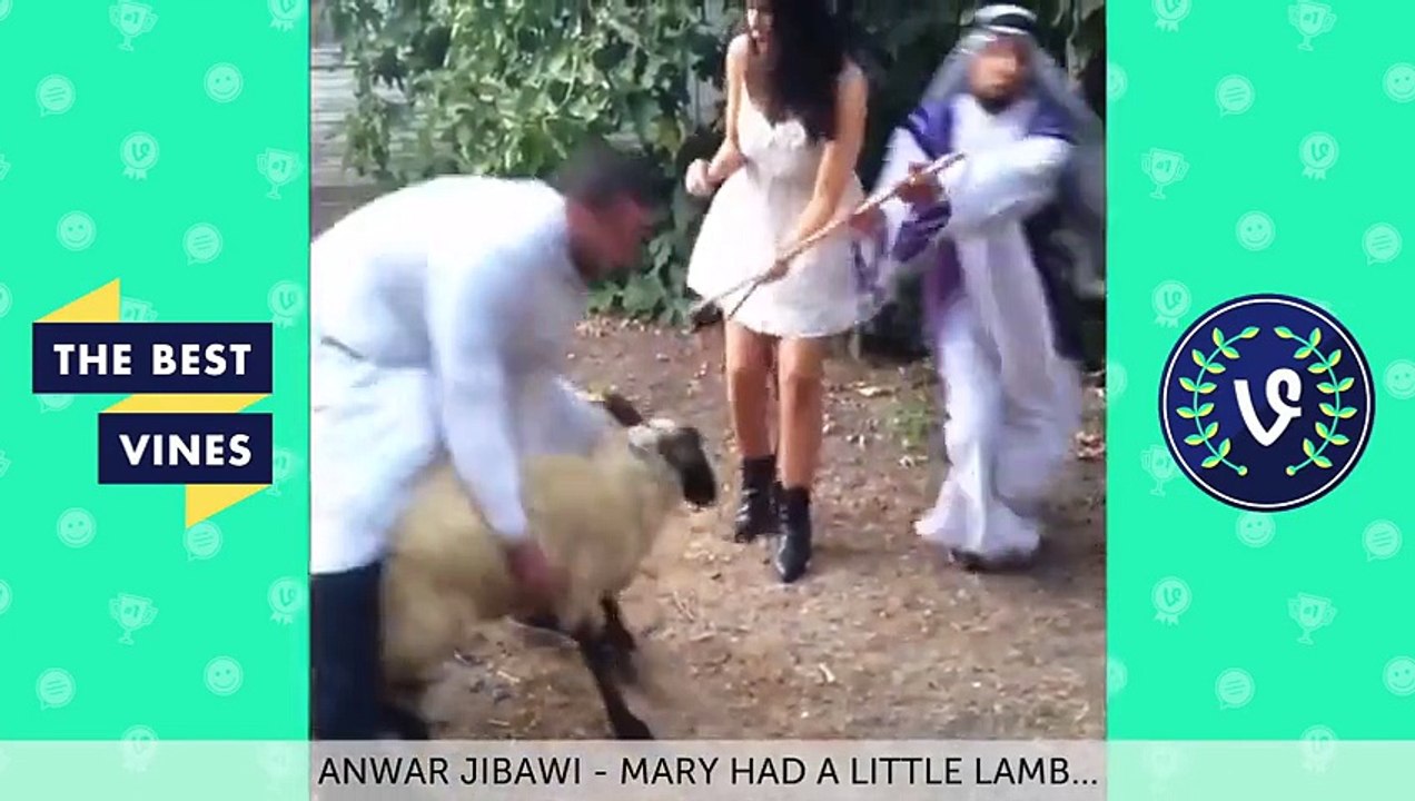 NEW Best Vines of August 2014 - Part 3