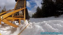 Shiloh and Shelby Siberian Husky Sled Dogs in Slow Motion - Wordless Wednesday
