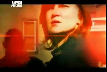 Animal Cops: Philadelphia 14 Urban Puppy Mill - Documentary Films HD