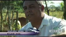 Documental: Puerto Rico Bajo Análisis Ovni - 6/6