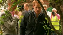 Prince Harry visits the Chelsea Flower Show