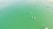 Drone footage picks up a 10ft Shark swimming nearby unknowing surfers