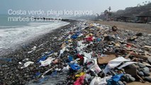 Marcha Pacífica por la conservación del Mar y la Biodiversidad marina del Perú 15/5/12