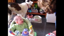 Funny laughing baby 1 New funny videos of babies 面白い赤ちゃん Bébé rire drôle
