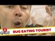 Bug Eating Tourist