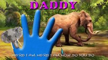 Elephant Finger Family   Joy Kids Club    Animal Finger Family Songs & Nursery Rhymes For Children