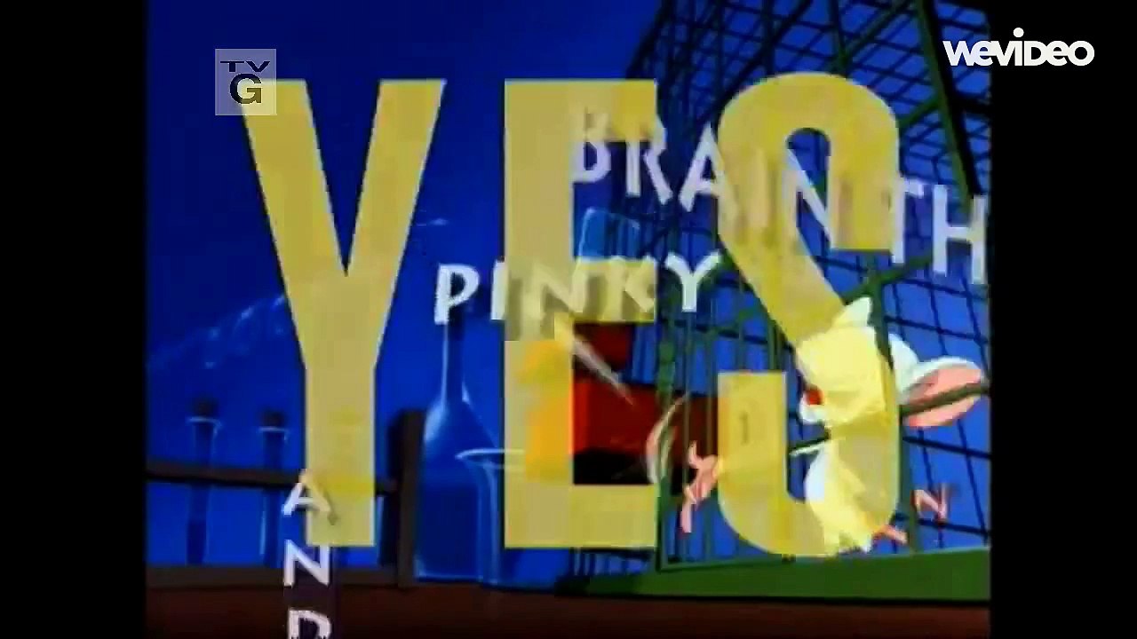 Pinky And The Brain Intro Lyrics