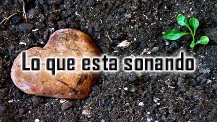 Salsa 2011 Corazon de piedra - Orquesta Kaliente - con letra