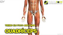 Treino em FOCO Anatomia #6 - Anatomia do Quadríceps