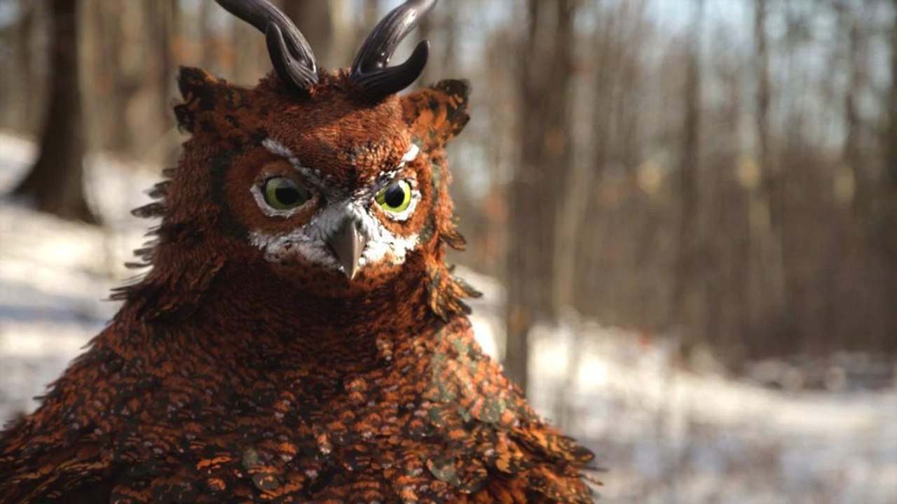 CGI Creating of HD: Owly Feathers in Houdini