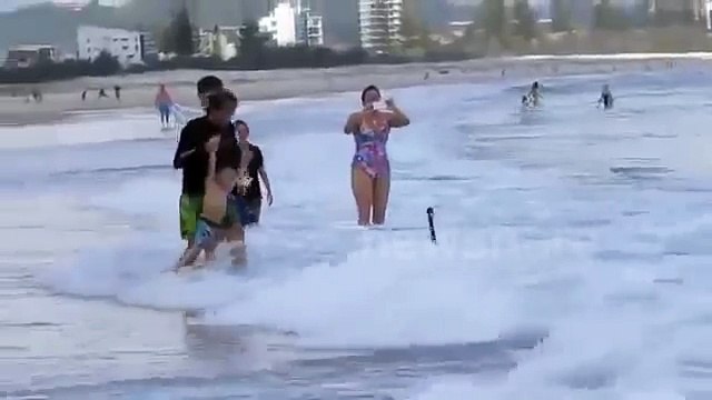 Surfing black swans in Australian beach
