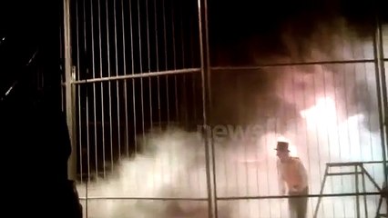 Tiger Attacks Trainer in Spanish Circus (Original version - Full res)