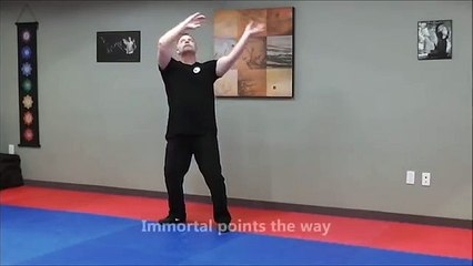 Tai Chi Qigong Shibashi 2nd set