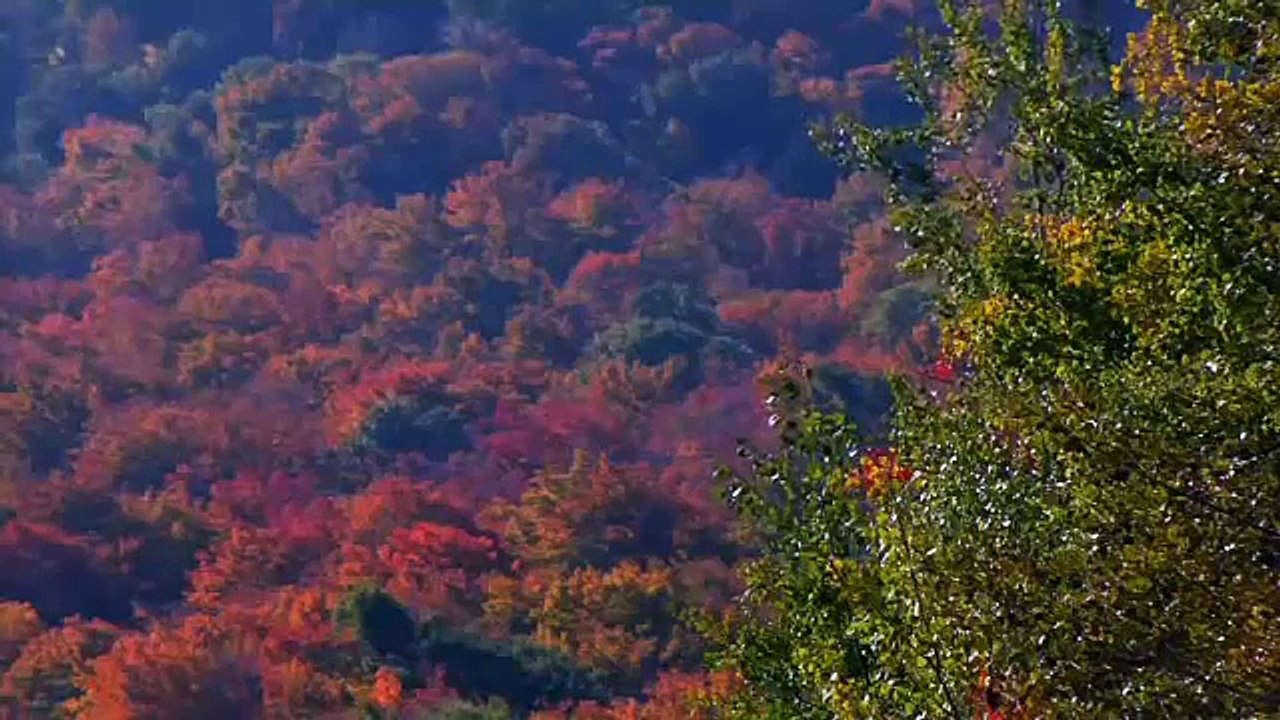 Quebec Horseback Riding Ranches