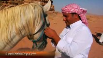 Wadi Rum Horseback Riding on Equitrekking