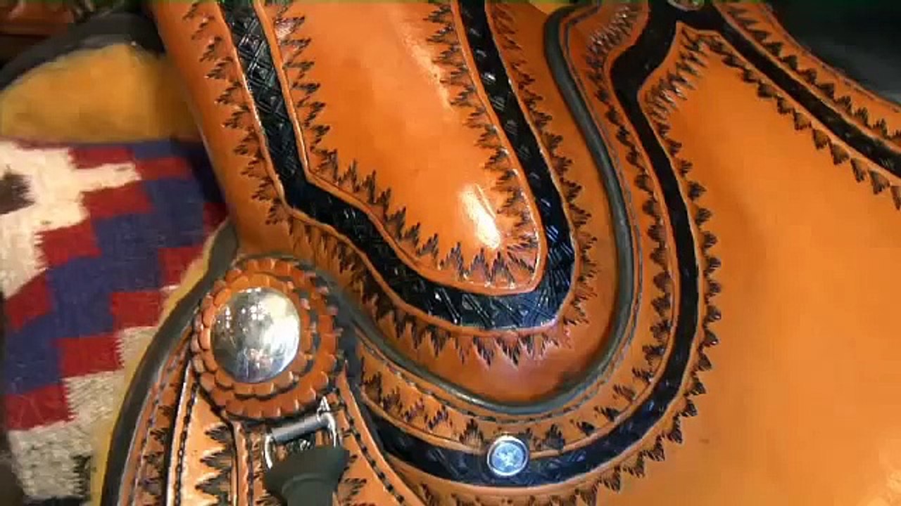 Introduction to Western Horse Riding