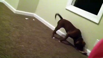 Youtube channel Fredy Frankle https://m.youtube.com/channel/UCjbRzzqiuMxCUjkyDQuaiWQ