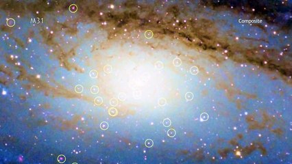 Download Video: Nearby Andromeda Galaxy is Full of Black Holes | NASA Chandra Space Science HD