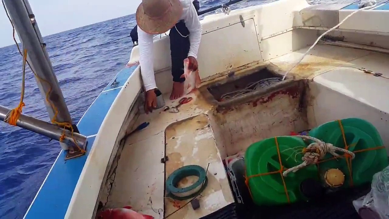 Ah mian fishing 08 08 2015