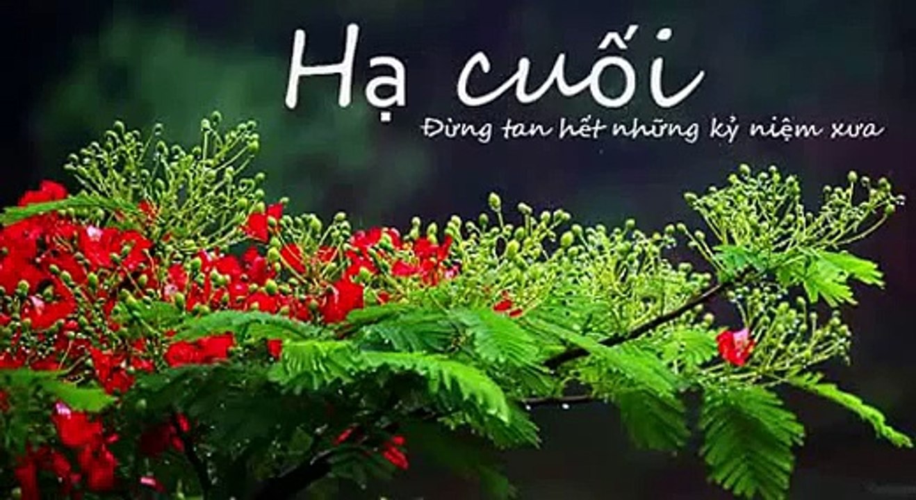 [Nhạc Việt ] Hè Cuối   Thùy Chi