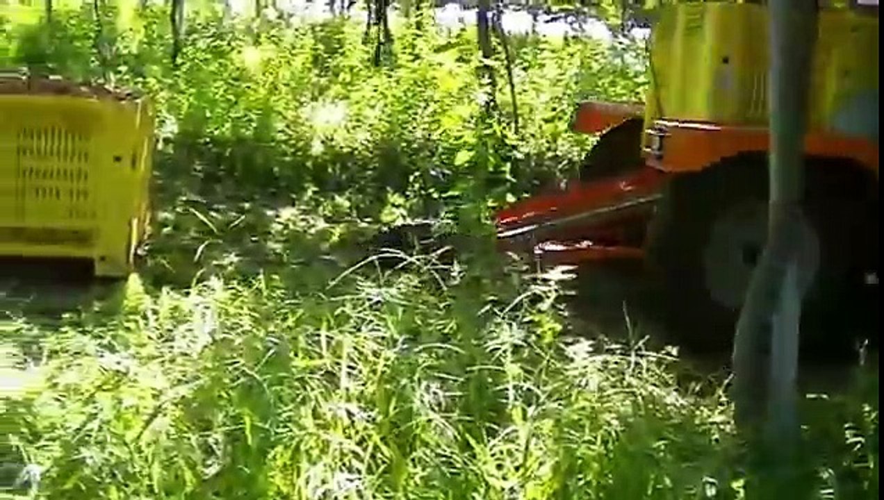 Darmec Transporter