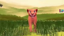Lion King Finger Family Cartoon Nursery Rhymes | Lion Animal Finger Family Rhymes