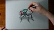 Drawing Time Lapse green bottle fly