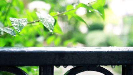 Umbrelbag : Distributeur de sacs pour parapluie