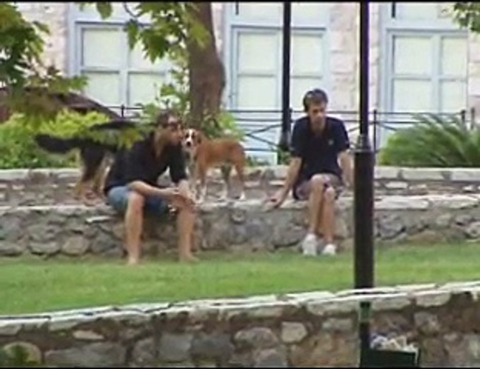 Ξεκινά το Φεστιβάλ του Δάσους της Αρβανίτσας. Α...