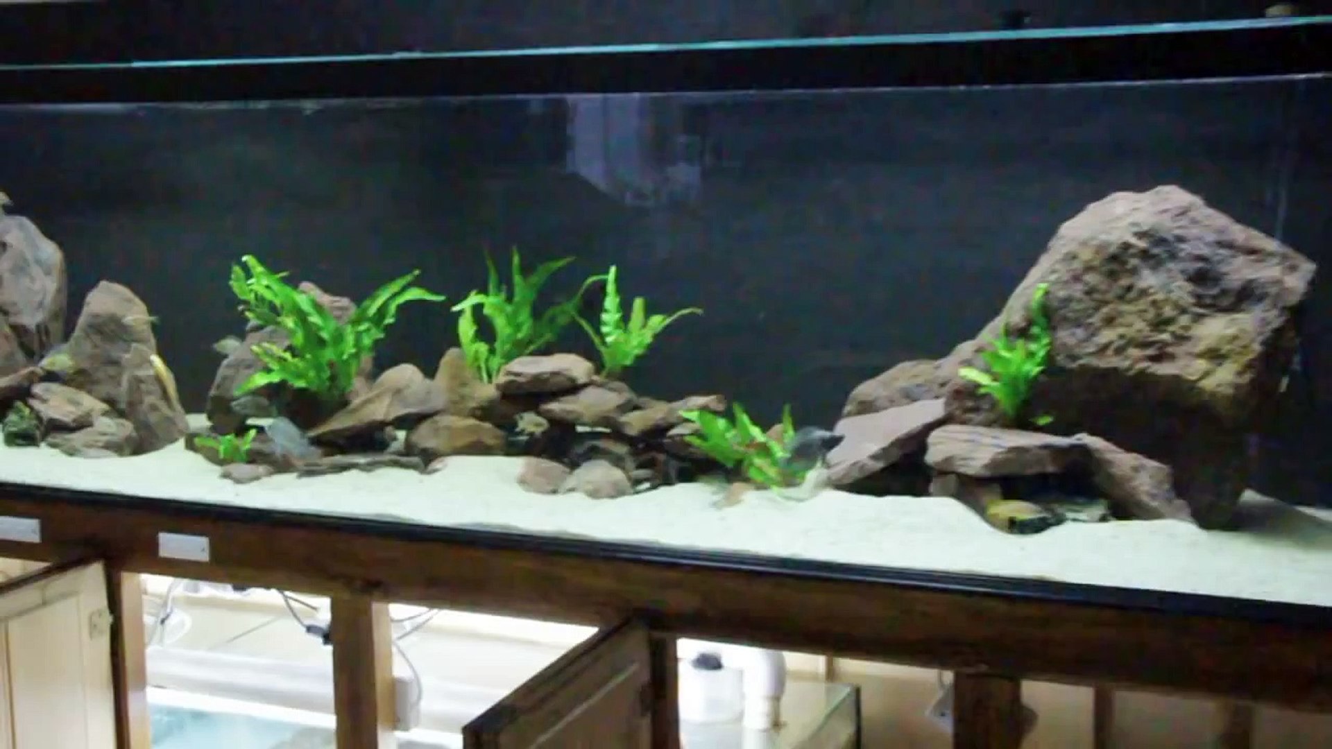 freshwater tank with sump